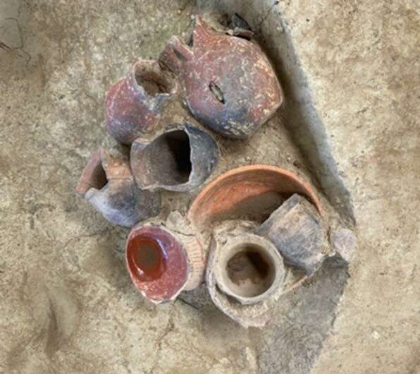 Study shows evidence of beer drinking 9,000 years ago in Southern China