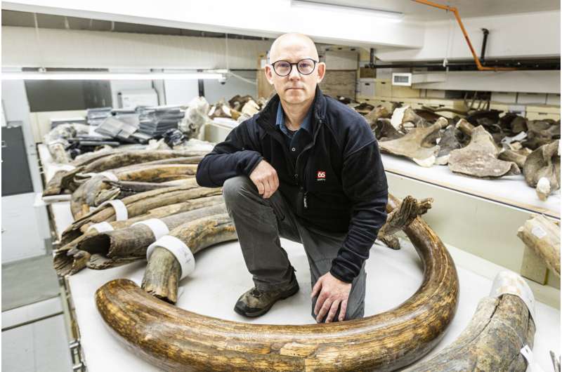Study takes unprecedented peek into life of 17,000-year-old mammoth