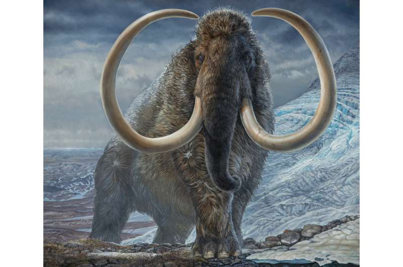 Study takes unprecedented peek into life of 17,000-year-old mammoth