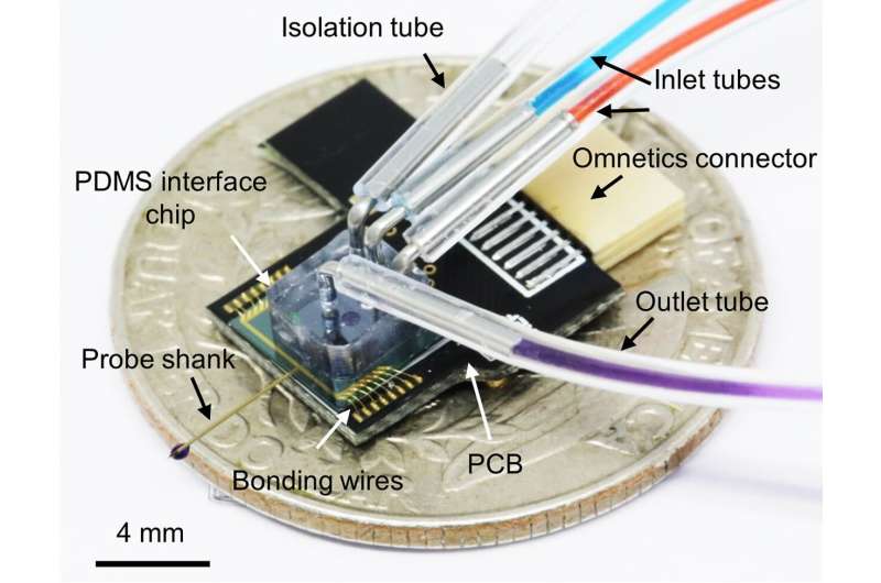 Subminiature multifunctional brain chip analyzes brain activity from multiple aspects