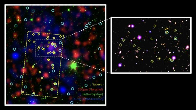 Superstructure harboring forming massive galaxies found in distant beacons of light in the sub-millimeter sky