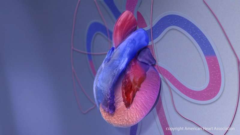 Survey shows hypertrophic cardiomyopathy patients face challenges; need educational resources