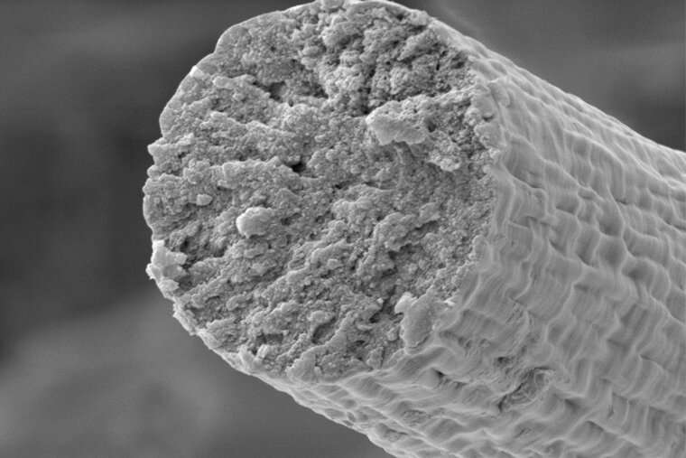 Synthetic biology enables microbes to build muscle