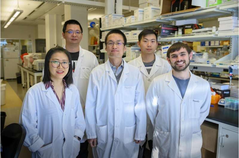 Target protein identified for improving heart attack treatment