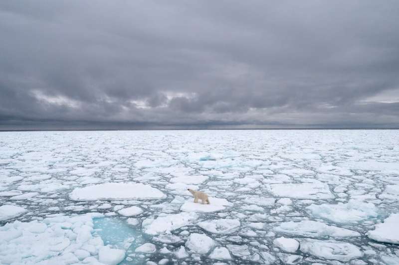 The Arctic, with its extreme climate and immense oil and gas resources, is also threatened by global warming