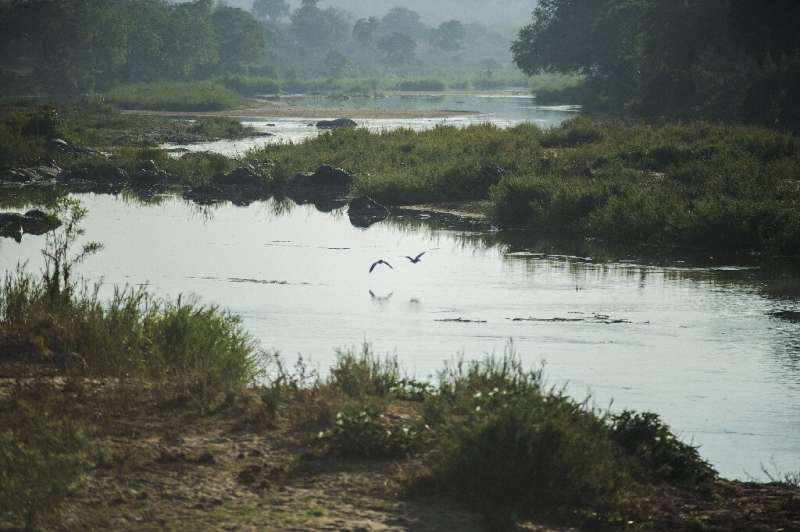 The Balule Nature Reserve is part of an ecosystem the size of Belgium