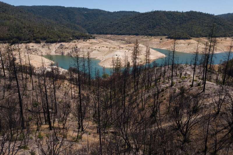 The charred trees that dot the landscape around Lake Oroville are a stark reminder of the increased risk of wildfires as a resul