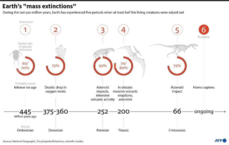 Les extinctions massives de la Terre
