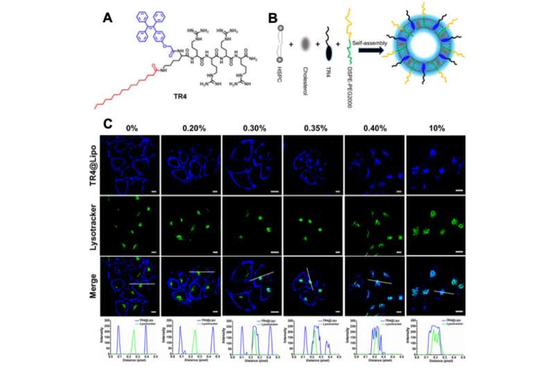 The effects of protein corona on the interactions of AIE-visualized liposomes with ce