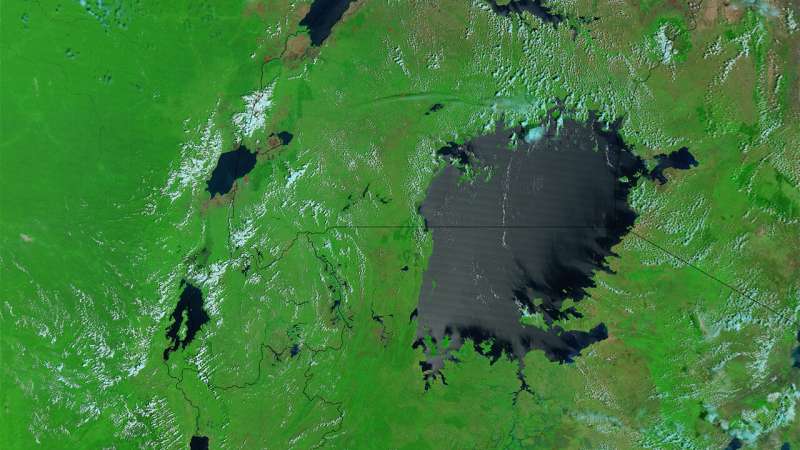 The end of Darwin's nightmare at Lake Victoria?
