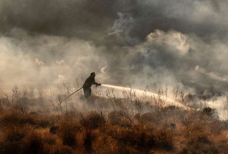The fire in Cyprus destroyed 55 square kilometres (21 square miles) of forest and farmland, according to the forestry department