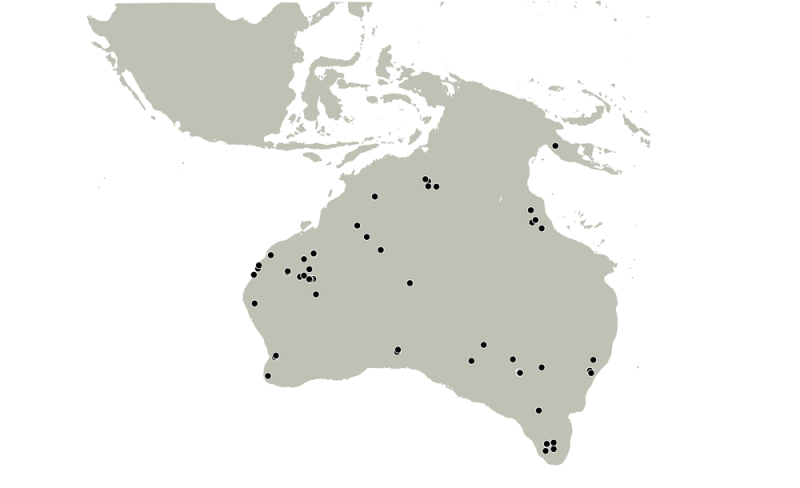 The First Australians grew to a population of millions, much more than previous estimates