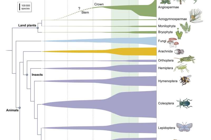 The impact of flowering plants on the evolution of life on Earth