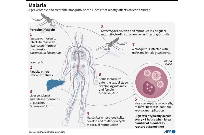 疟疾寄生虫的生命周期