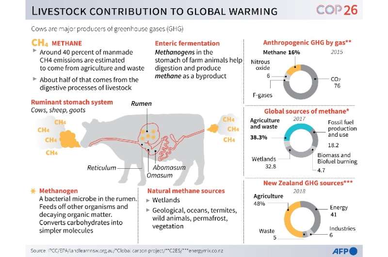 La contribución del ganado al calentamiento global