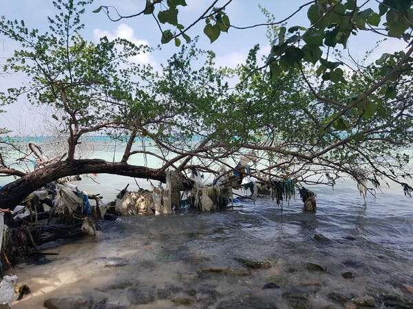 The Maldives is threatened by rising seas – but coastal development is causing even more pressing environmental issues