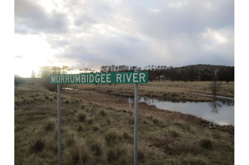 The Murrumbidgee River's wet season height has dropped by 30% since the 1990s — and the outlook is bleak