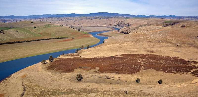 The Murrumbidgee River's wet season height has dropped by 30% since the 1990s — and the outlook is bleak