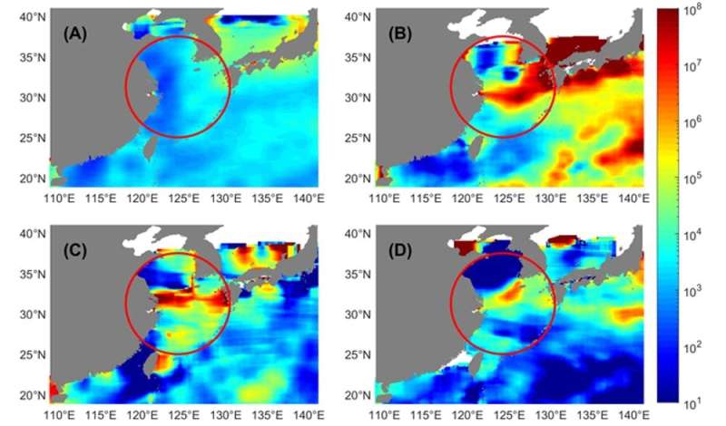 The ocean is full of tiny plastic particles – we found a way to track them with satellites