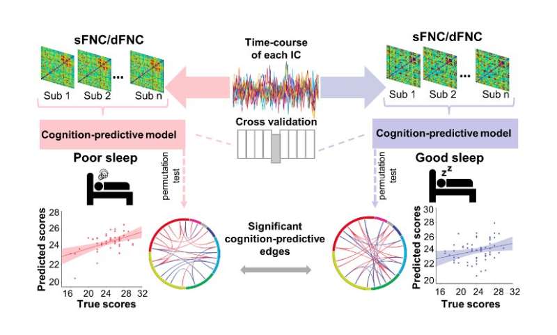 The possible effects of sleep quality on cognitive function in healthy older adults 