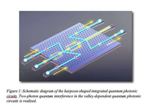 The realization of topologically protected valley-dependent quantum photonic chips 