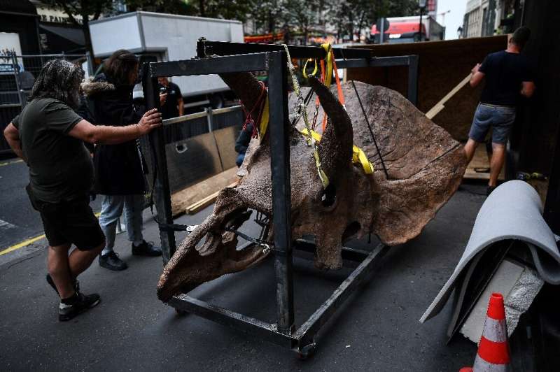 The sale of &quot;Big John&quot; comes amid continued enthusiasm for dinosaur skeletons, with prices often reaching records