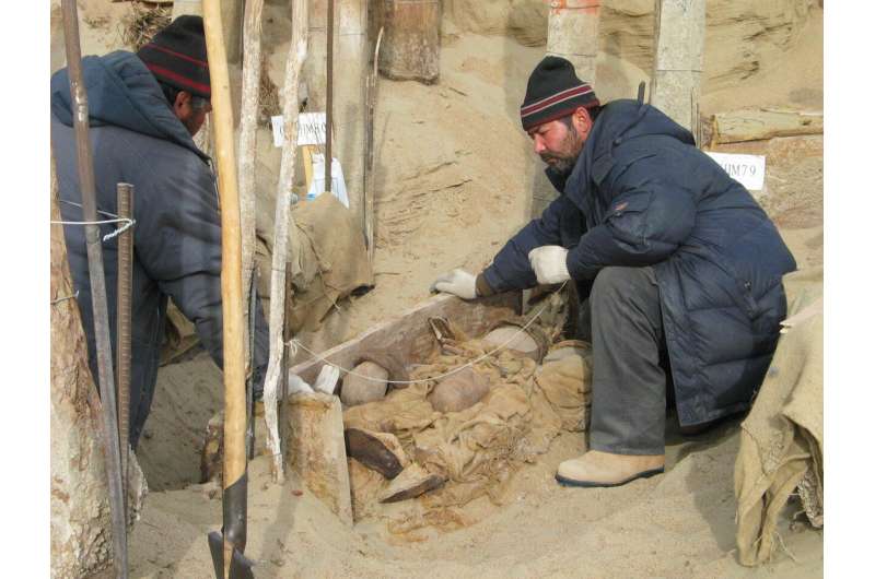 The surprising origins of the Tarim Basin mummies