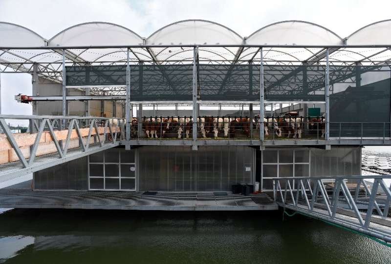 The three-storey glass and steel platform aims to show the &quot;future of breeding&quot;