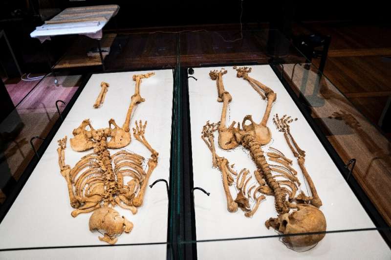 The two related Viking skeletons in Denmark's National Museum
