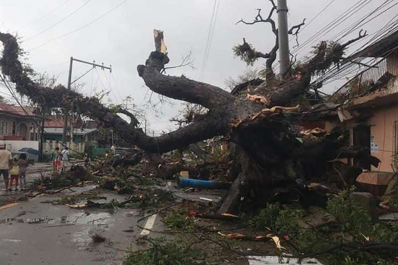 طوفان در فیلیپین درختان را ریشه کن می کند، خطوط برق را قطع می کند و روستاها را سیل می کند.
