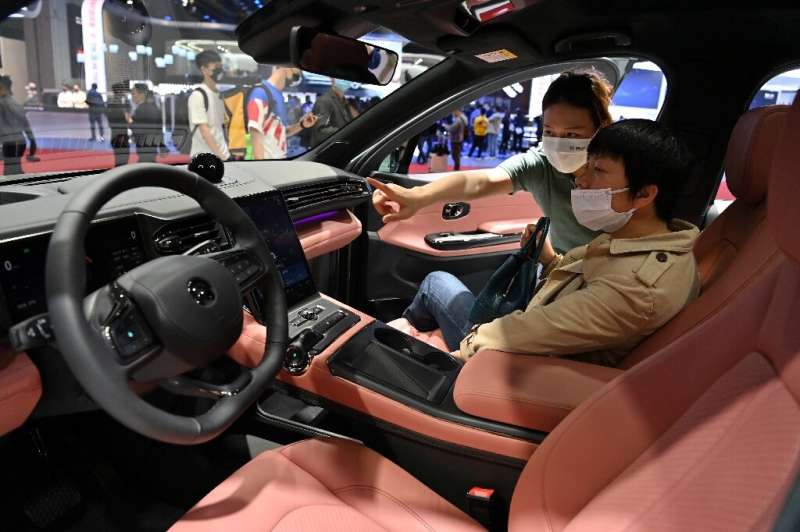 The electric vehicle sector has seen a stampede of tech giants, including major Chinese firms