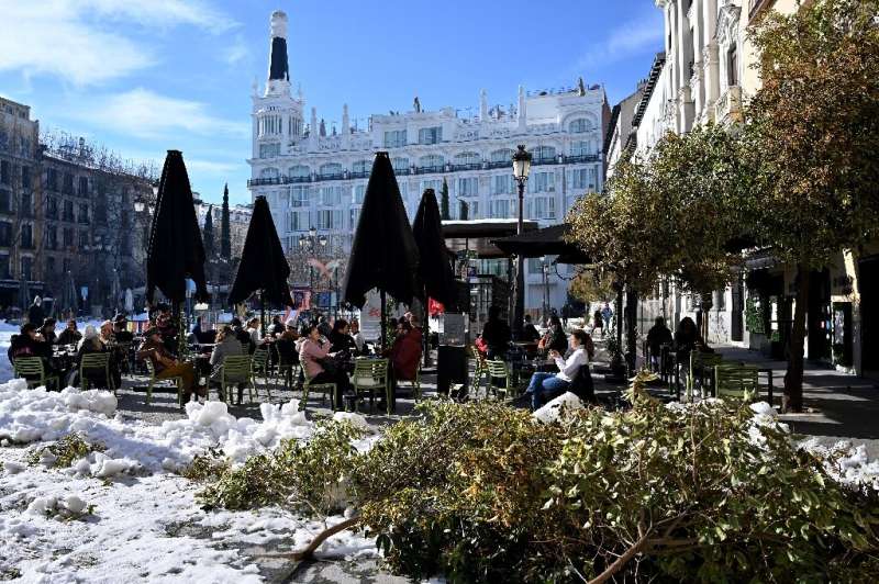 The heavy snow that hit Madrid in January was an environmental disaster for the city's trees