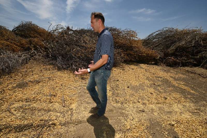 'There is not enough water on the market' to keep the almond trees alive, said Daniel Hartwig, in charge of water management for
