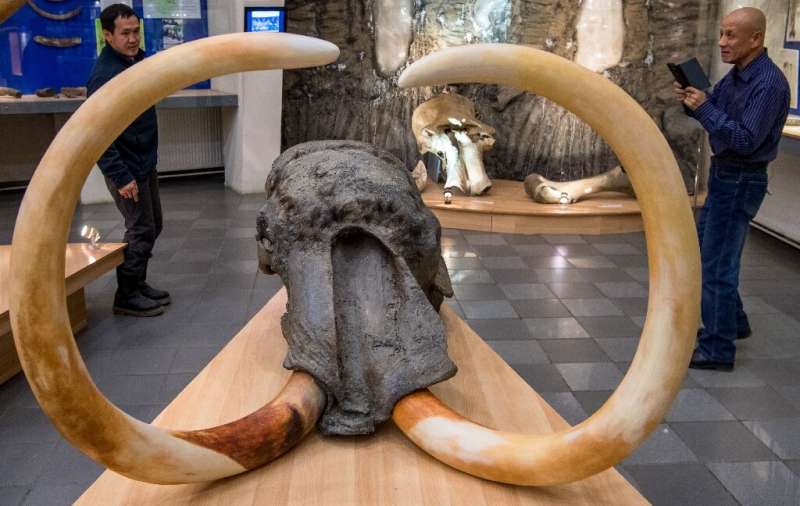 The remains of prehistoric creatures like mammoths are found in the melting permafrost of Russia's Yakutsk region
