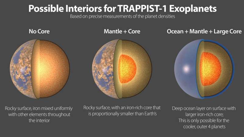 The seven rocky planets of TRAPPIST-1 seem to have very similar compositions