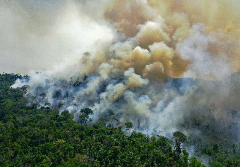 This aerial view of a burning area of Amazon rainforest reserve, south of Novo Progresso in Para state, Brazil, taken in August 
