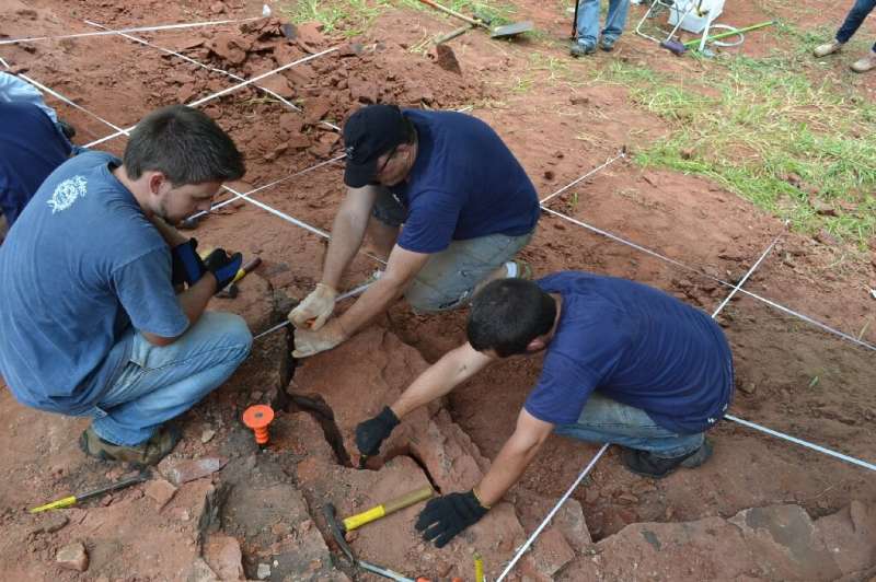 This handout picture released by the National Museum of Rio de Janeiro on January 25, 2021, shows archaeologists recovering foss
