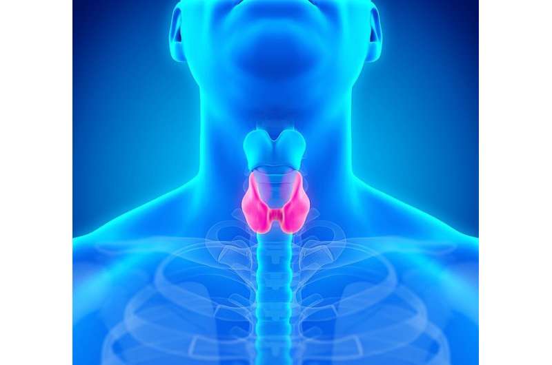 Thyroid surgery is associated with a significant risk of vocal fold paresis