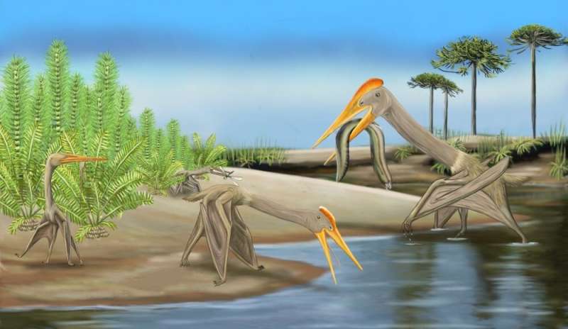 Tiny pterosaurs dominated cretaceous skies