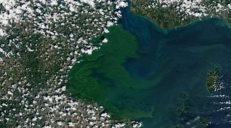 Toxic algae blooms are getting worse, but oversight is lacking