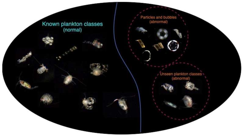 Training AI classifier to better sort plankton images