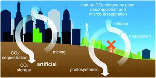 Transforming atmospheric carbon into industrially useful materials