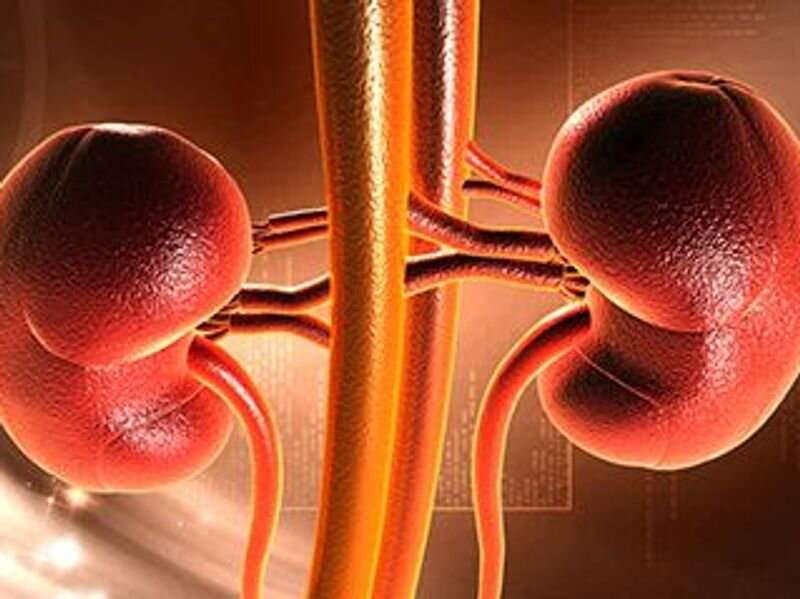 Transplant beneficial for kidney failure in sickle cell