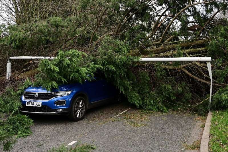 Trees felled by &quot;Storm Arwen&quot; killed three people across the UK and the Met Office warned of Arctic temperatures later