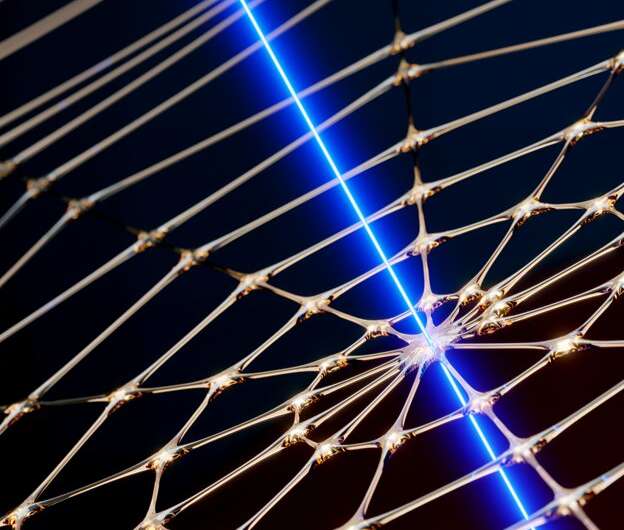 TU Delft creates one of the world’s most precise microchip sensors – thanks to a spiderweb