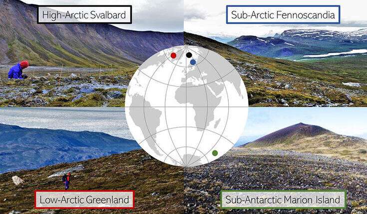 Tundra vegetation shows similar patterns along microclimates from Arctic to sub-Antarctic