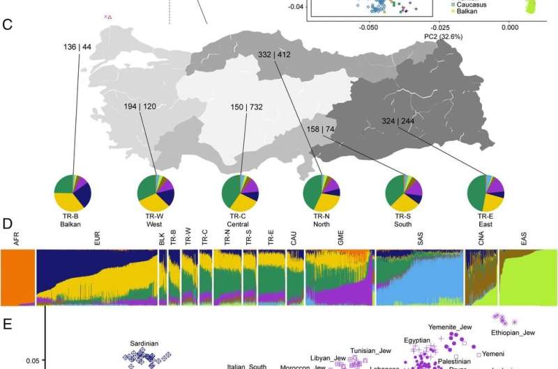 Turkish genetic study shows high degree of variation and admixture