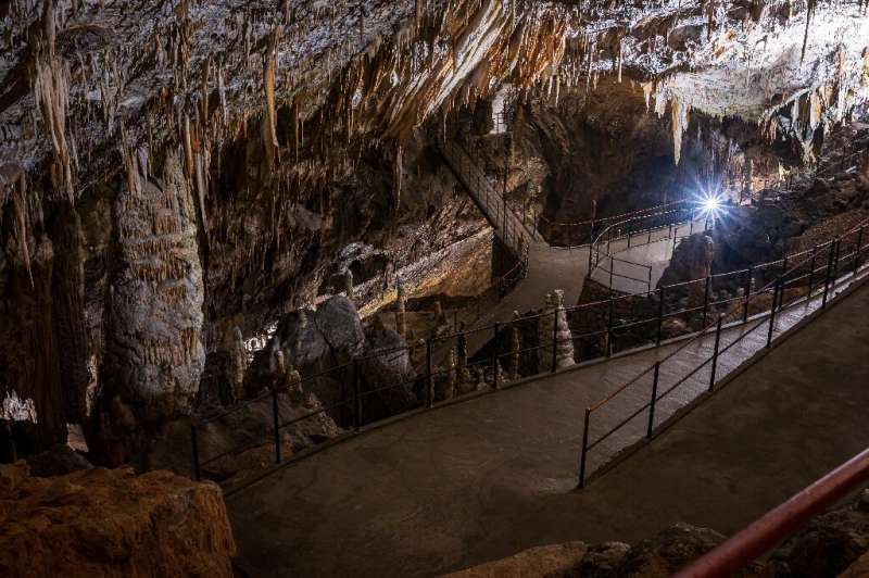 Two centuries ago, the Postojna cave system, the longest in Europe, was unearthed by an amateur enthusiast