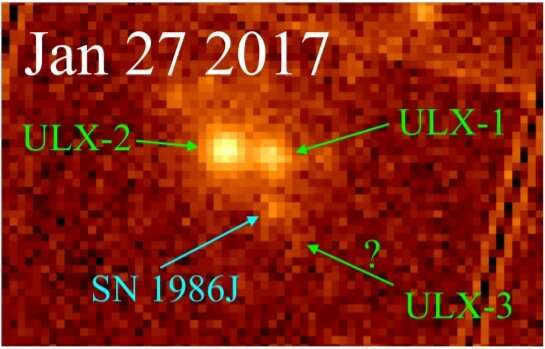 Fuentes de rayos X ultraluminosas en NGC 891 investigadas por investigadores