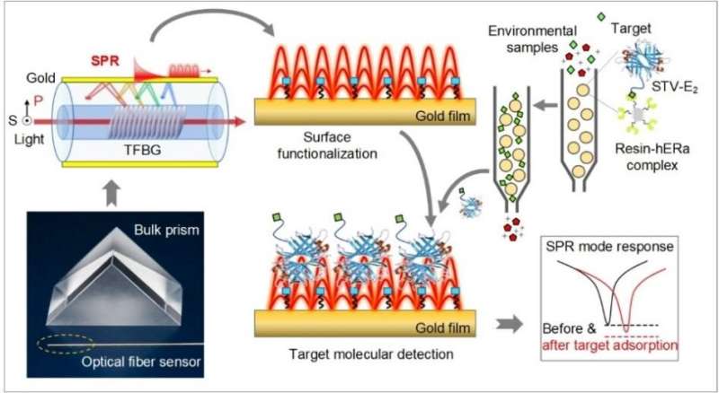 Ultrasensitive detection of endocrine disruptors via superfine plasmonic spectral combs